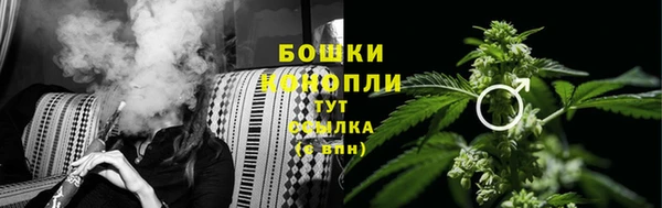 стафф Гусиноозёрск
