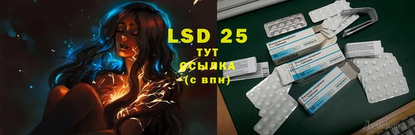 стафф Гусиноозёрск