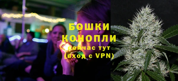 метадон Гусь-Хрустальный