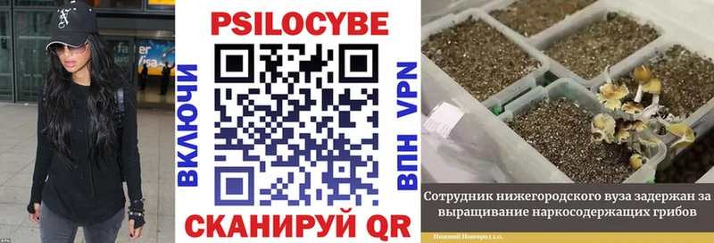 Псилоцибиновые грибы ЛСД  мориарти состав  Горно-Алтайск  наркошоп  hydra маркетплейс 